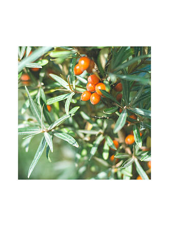 RAUSCH | ESPUMA DE PEINADO Fuerte Aerosol 150ml