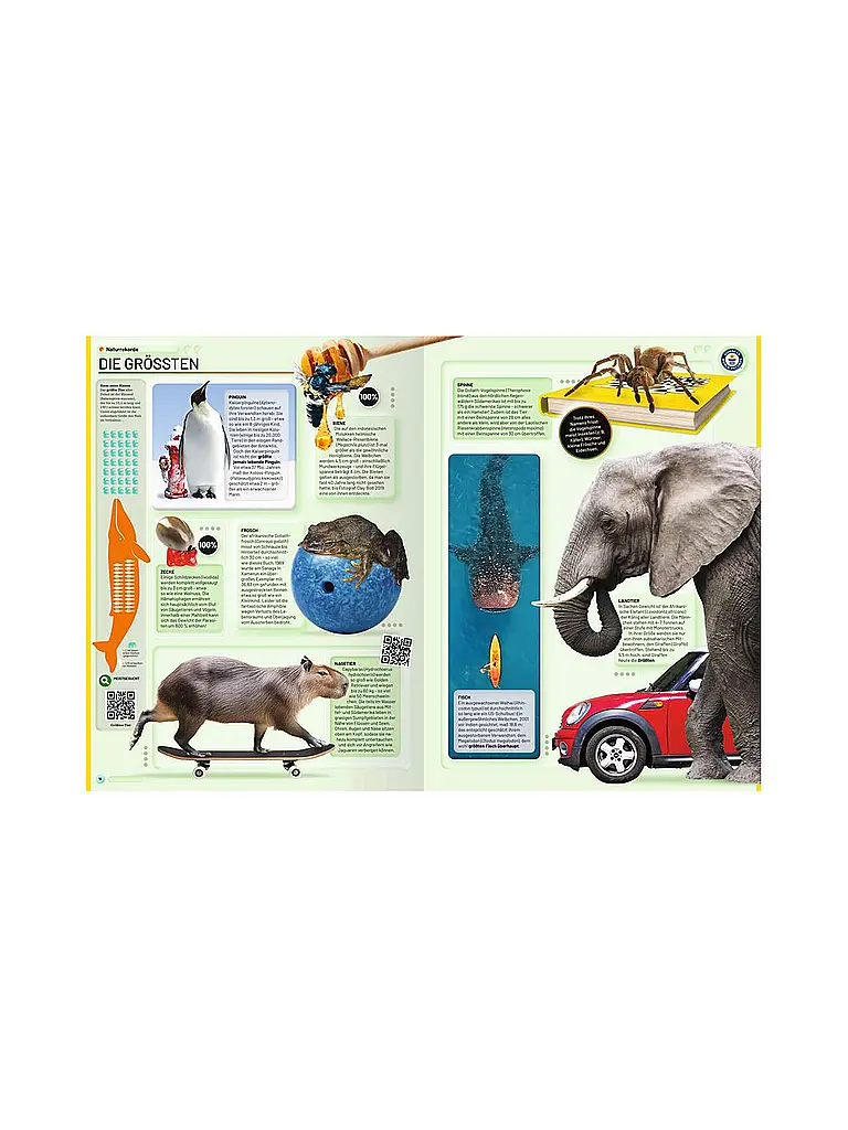 RAVENSBURGER | Libro - Guinness World Records - 2026 | Multicolor