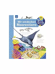 RAVENSBURGER | Wieso Weshalb Warum - Descubrimos animales marinos | Sin color