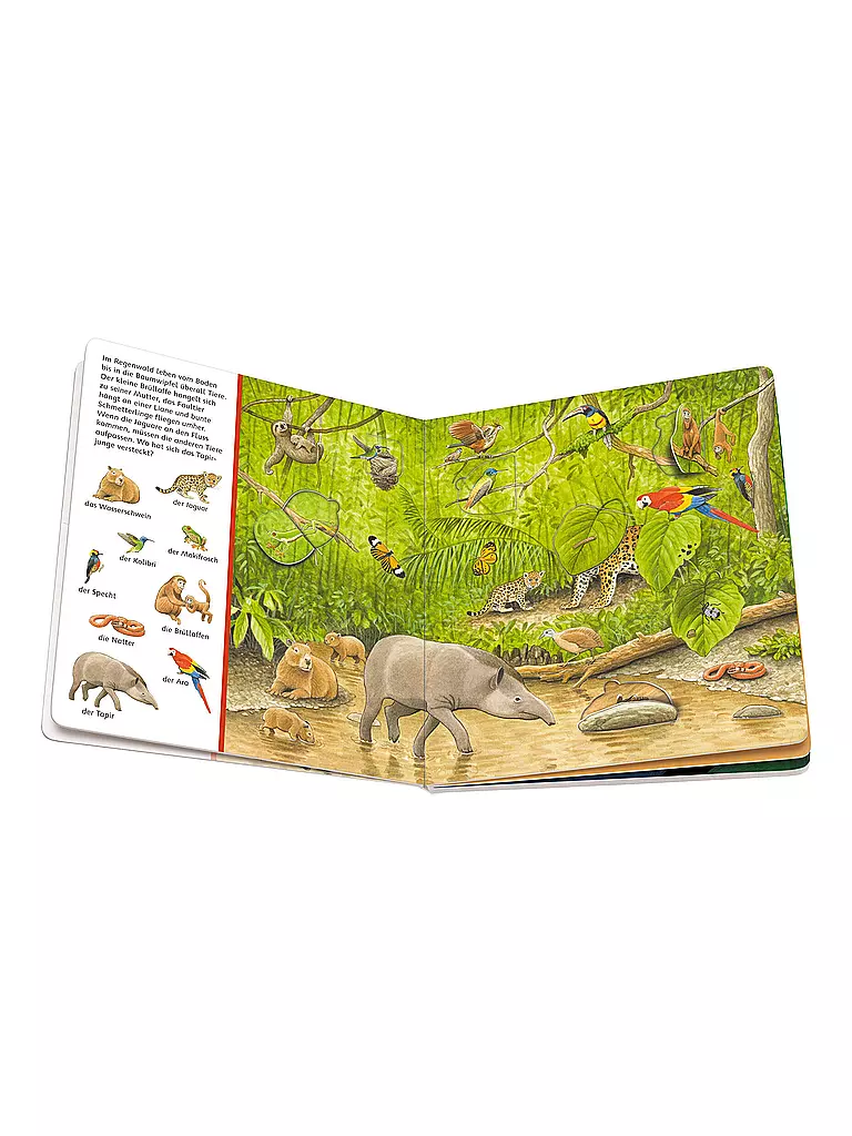 RAVENSBURGER | Wimmelbuch - Tiere und ihre Kinder  | Sin color