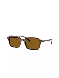RAY BAN | Gafas de sol 0RB2231/58 | Marrón
