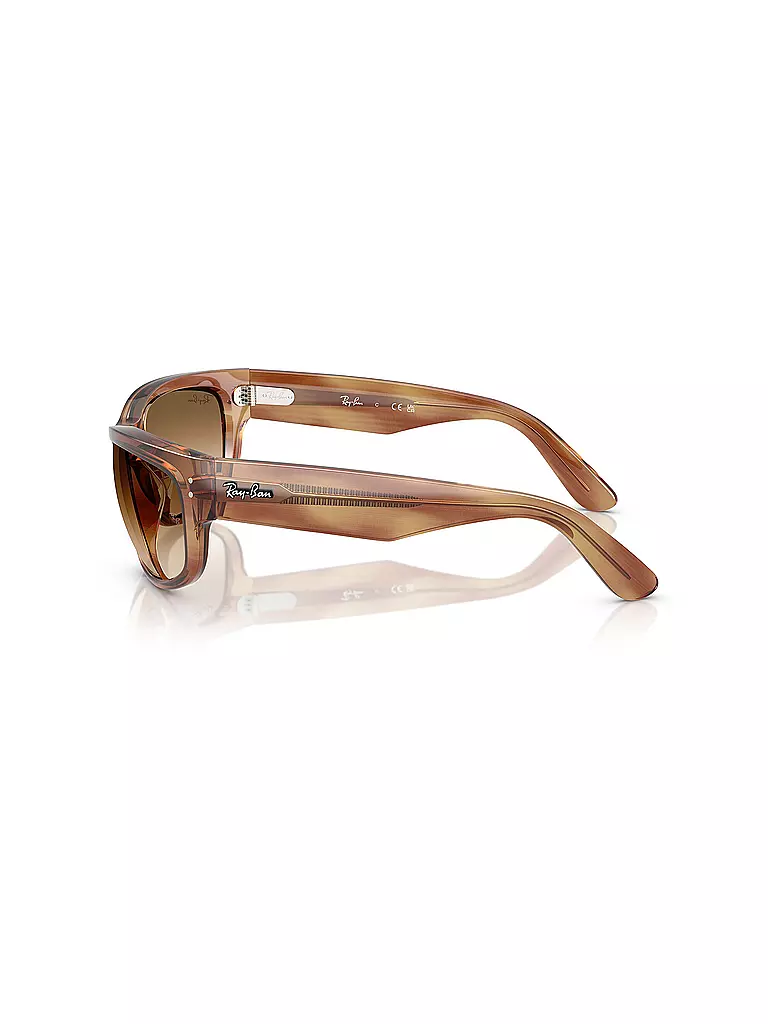 RAY BAN | Gafas de sol 0RB2289/63 |
