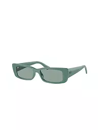 RAY BAN | Gafas de sol 0RB4425/54 TERU | Petróleo