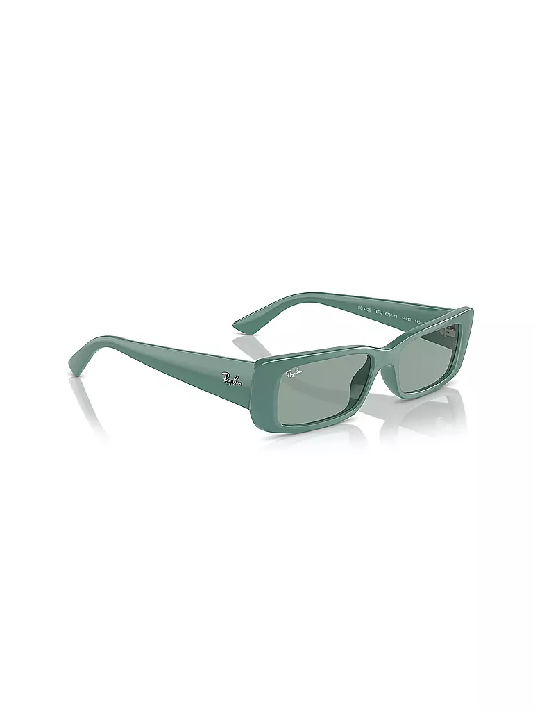 RAY BAN | Gafas de sol 0RB4425/54 TERU | 