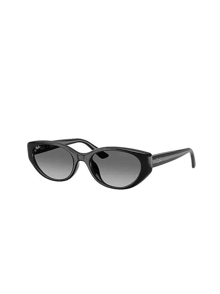 RAY BAN | Gafas de sol 0RB4457D/55 | Negro