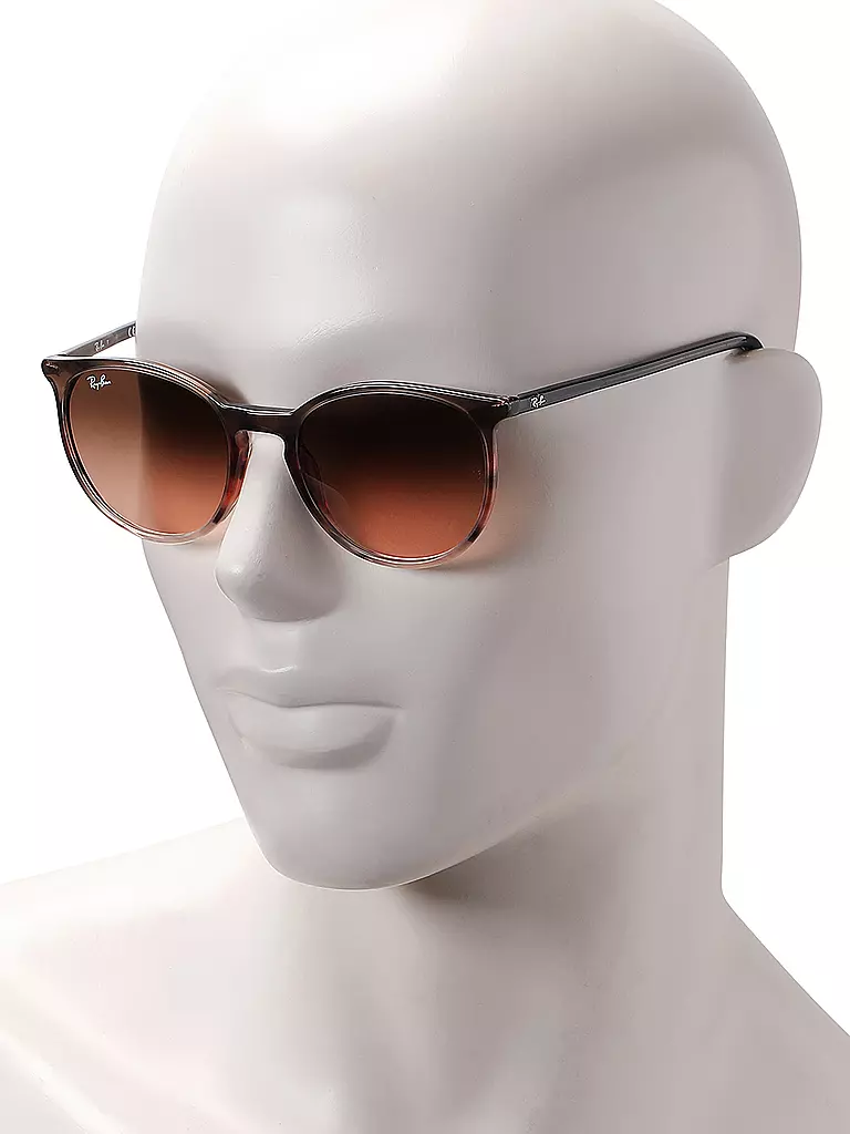 RAY BAN | Gafas de sol 2204/54 | 