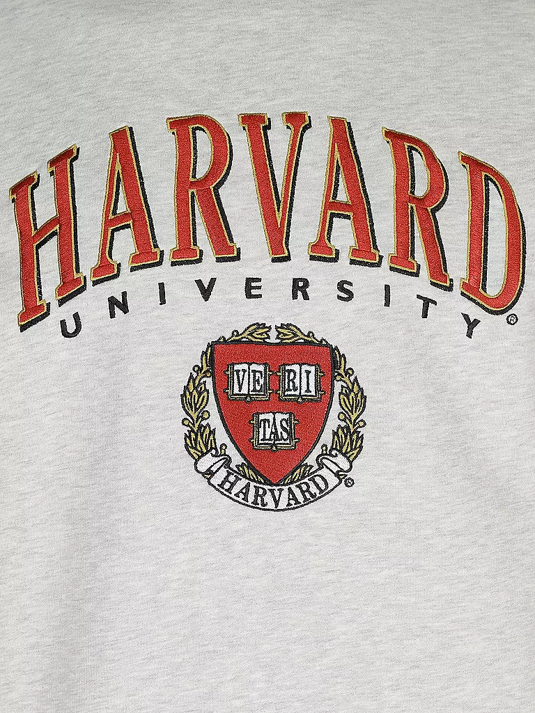 REPLAY | Kapuzensweater - Hoodie COLLEGE HARVARD | Gris
