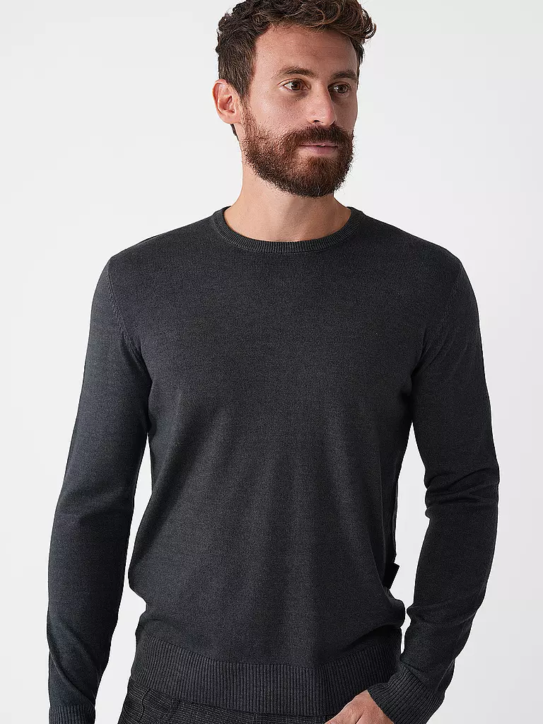 REPLAY | Pullover | Gris