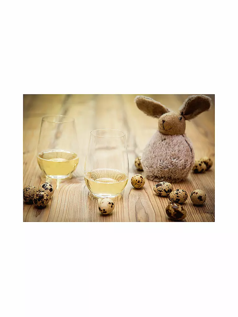 RIEDEL | Juego de 2 copas de champán O Wine Tumbler 264ml | 