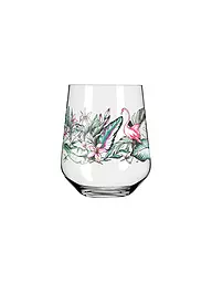 RITZENHOFF | Set de 2 vasos Gin Tumbler SCHATTENFAUNA #5 #6 | Multicolor