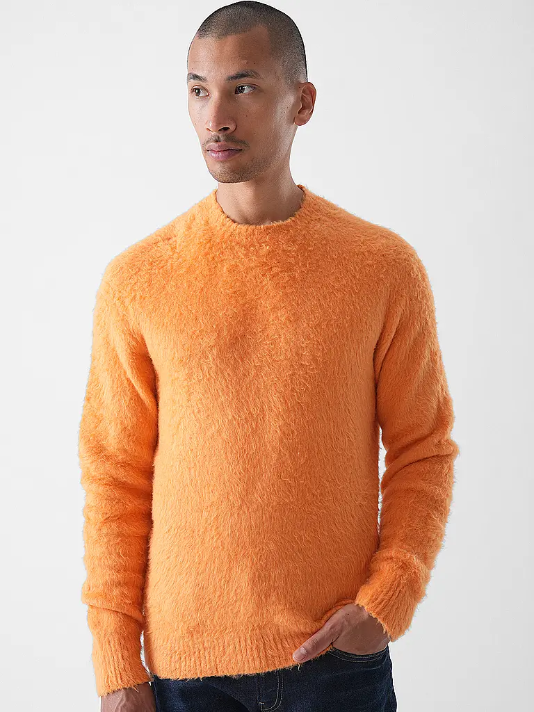 ROBERTO COLLINA | Jersey | 