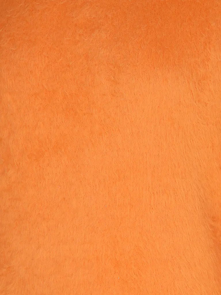 ROBERTO COLLINA | Jersey | 