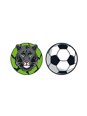 SCHNEIDERS | Parches Pantera/Balón de fútbol