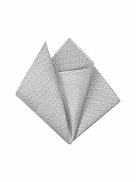 SEIDENFALTER | Pañuelo de bolsillo PRINCE BOWTIE | Plata