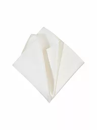 SEIDENFALTER | Pañuelo de bolsillo | Beige