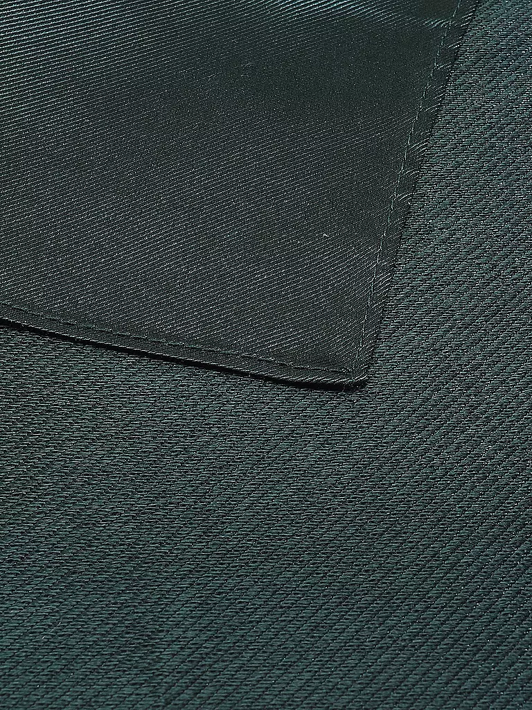 SEIDENFALTER | Pañuelo de bolsillo | Verde