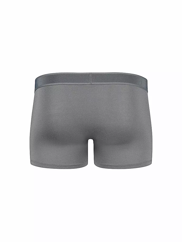 SKINY | Pantalones grises | grau