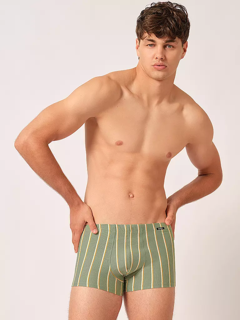 SKINY | Pants 2-er Pkg. greenbay stripes selection | Verde