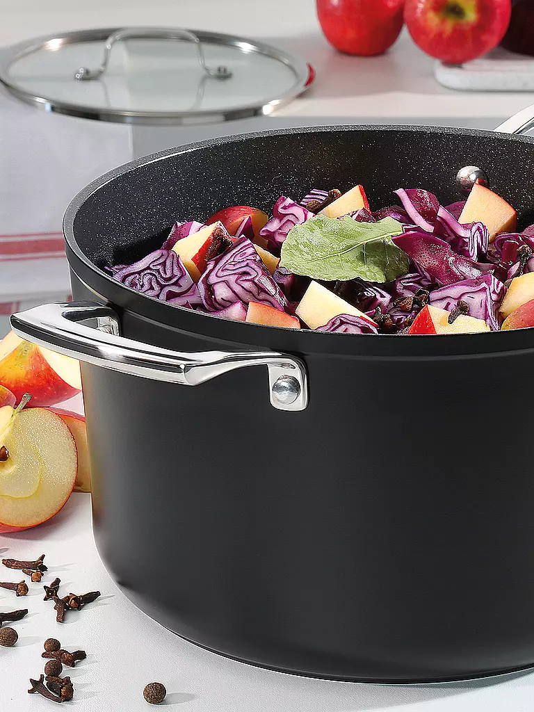 SPRING | Cacerola MERIDIAN Intense Pro 16cm / 1,4 l Antiadherente | Negro