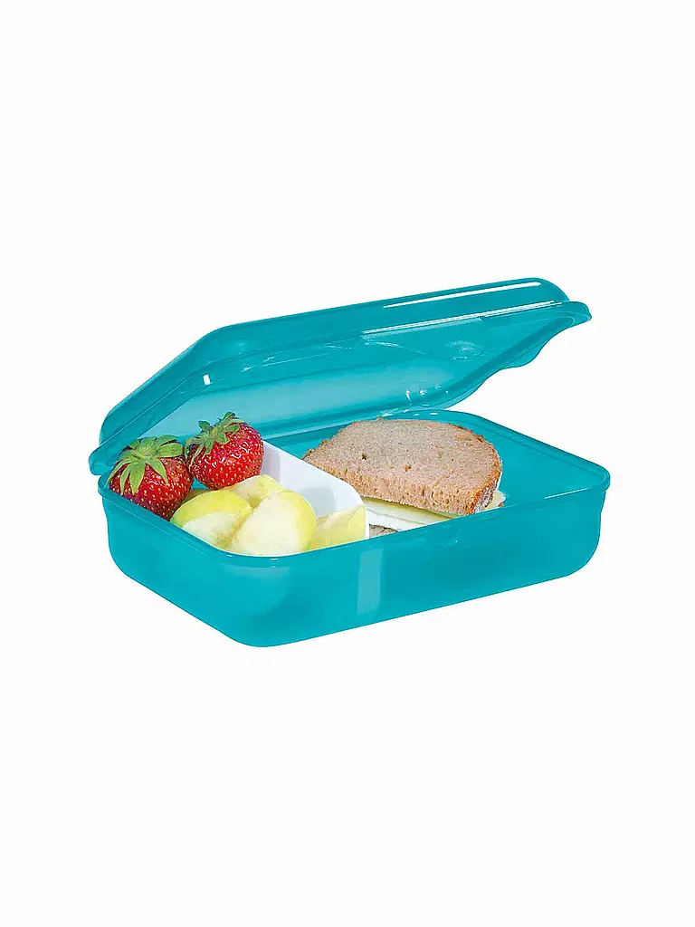 STEP BY STEP | Fiambrera - Dog Basty | Turquesa