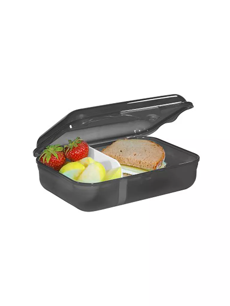 STEP BY STEP | Fiambrera - Lunchbox Wild T-Rex Taro | Negro