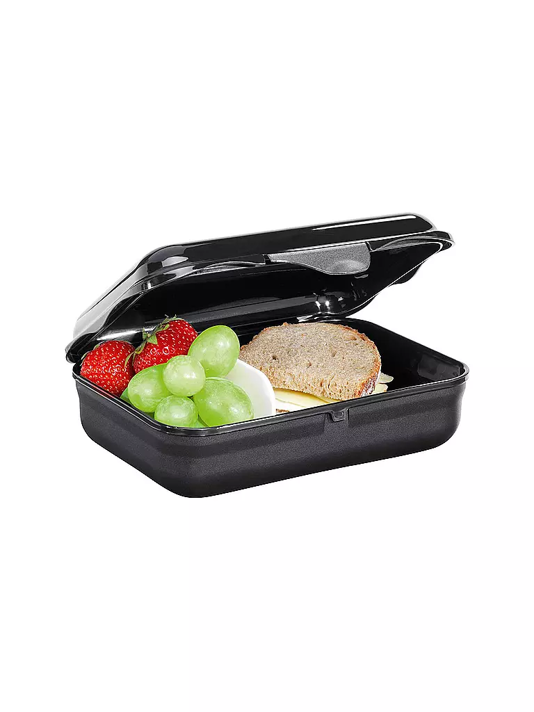 STEP BY STEP | Lunchbox - Wild Cat Chiko | Negro