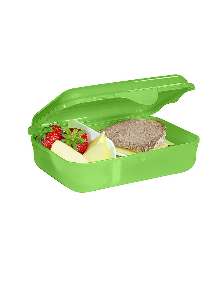 STEP BY STEP | Lunchbox Dino Targo Gruen  | Verde oscuro