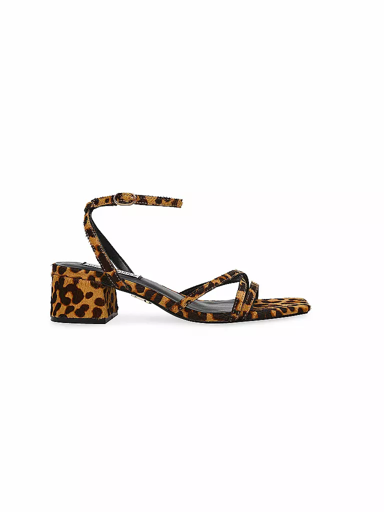 STEVE MADDEN | Sandalias GABBY L | Marrón