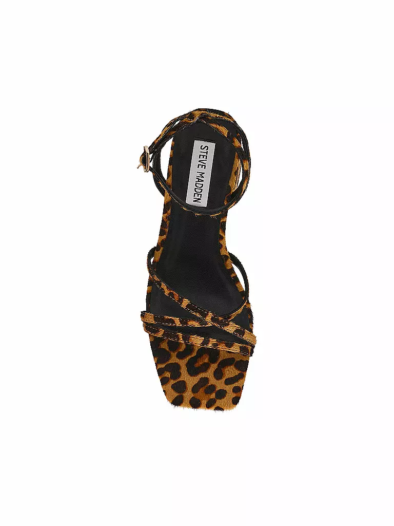 STEVE MADDEN | Sandalias GABBY L | 