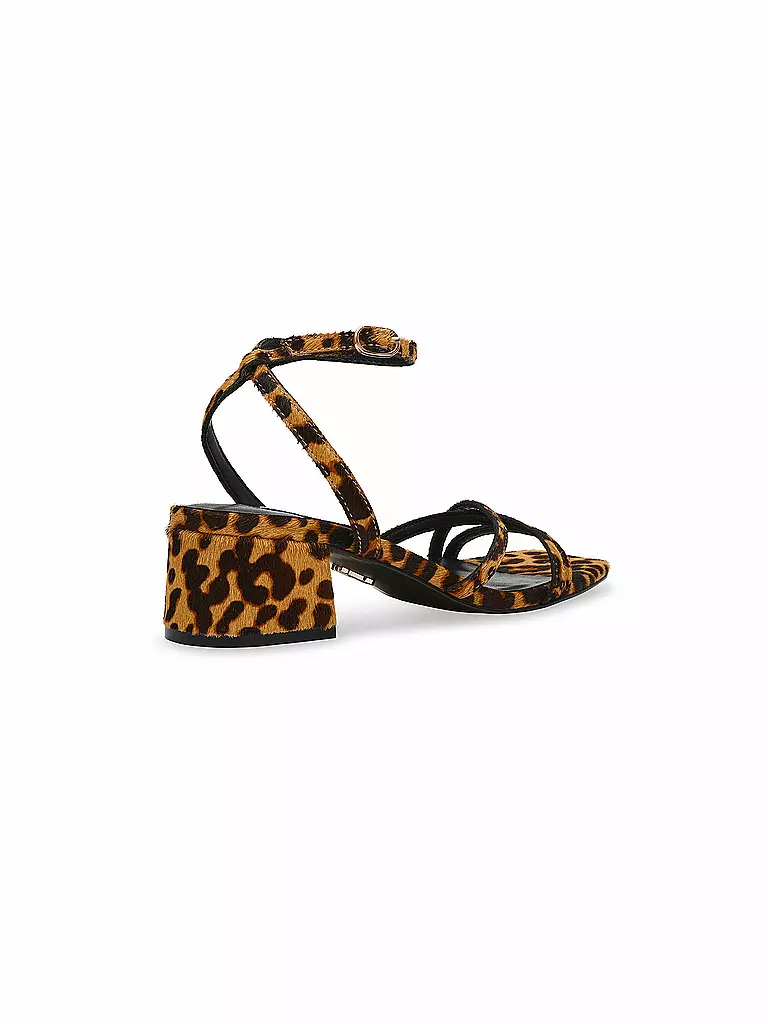 STEVE MADDEN | Sandalias GABBY L | 