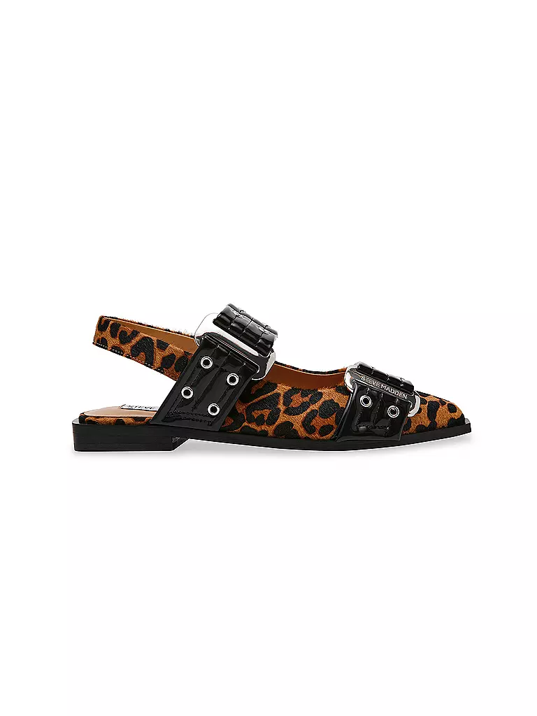 STEVE MADDEN | Sandalias GRAND AVE L | Marrón