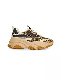 STEVE MADDEN | Sneaker POSSESSION-E | Marrón