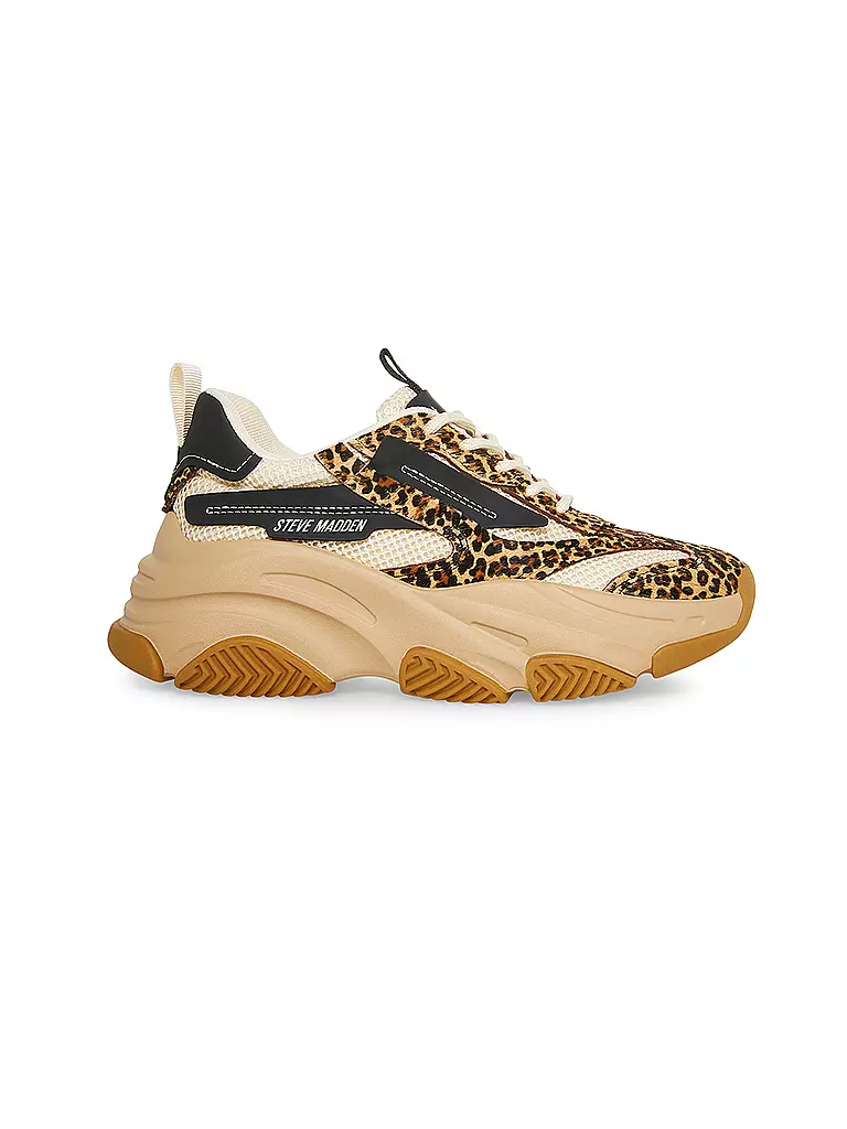 STEVE MADDEN | Sneaker POSSESSION-E | Marrón