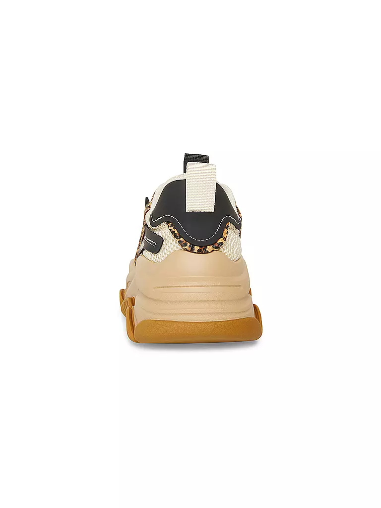 STEVE MADDEN | Sneaker POSSESSION-E | Marrón