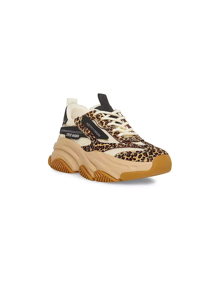 STEVE MADDEN | Sneaker POSSESSION-E | Marrón