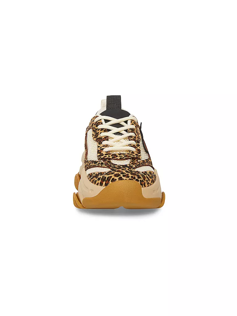 STEVE MADDEN | Sneaker POSSESSION-E | Marrón