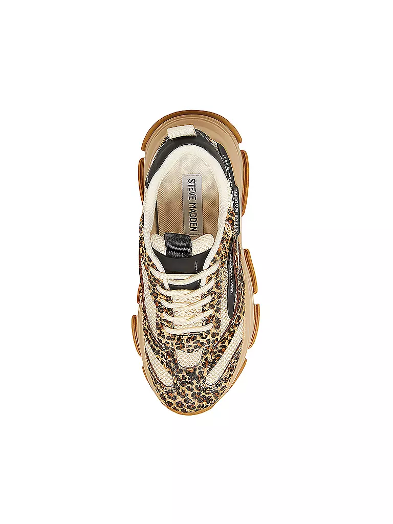 STEVE MADDEN | Sneaker POSSESSION-E | Marrón