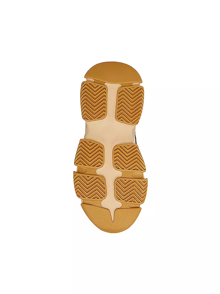 STEVE MADDEN | Sneaker POSSESSION-E | Marrón