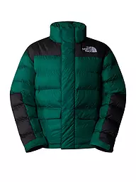 THE NORTH FACE | Chaqueta acolchada LIMBARA | Verde oscuro