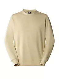 THE NORTH FACE | Sweater  | Beige