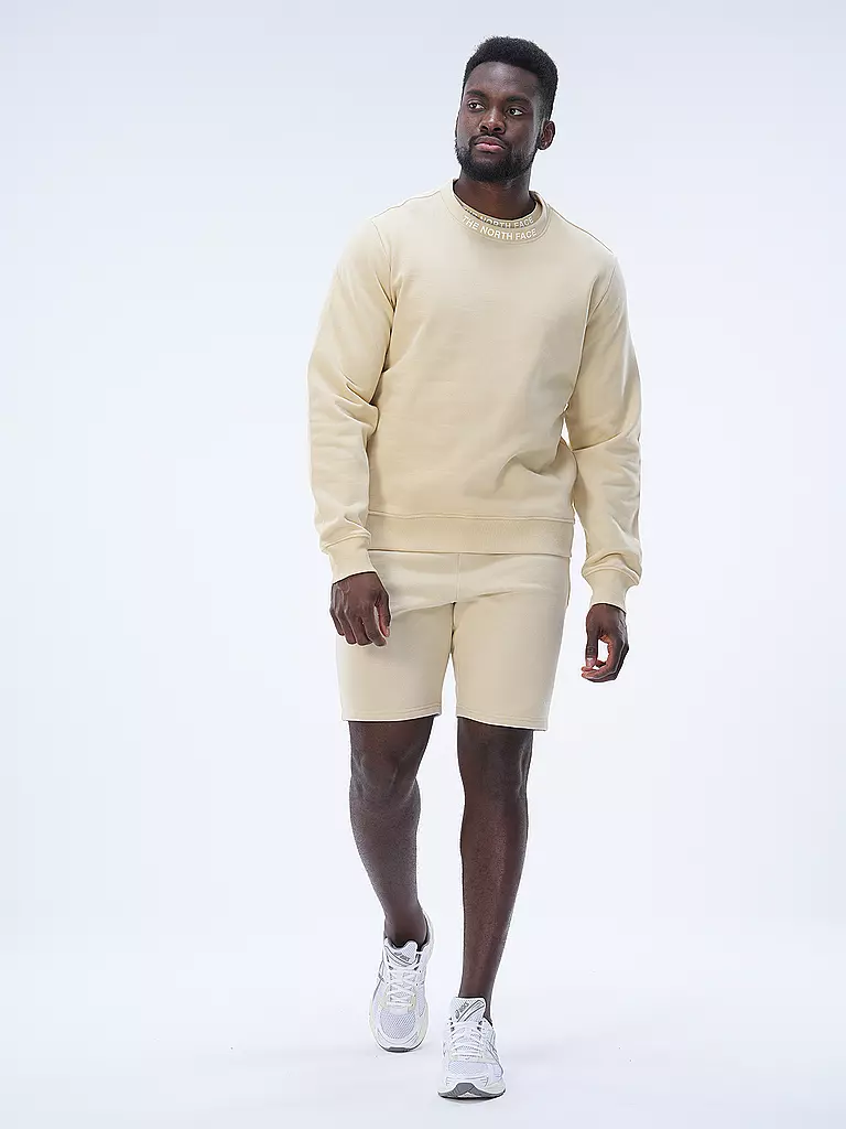 THE NORTH FACE | Sweater  | Beige