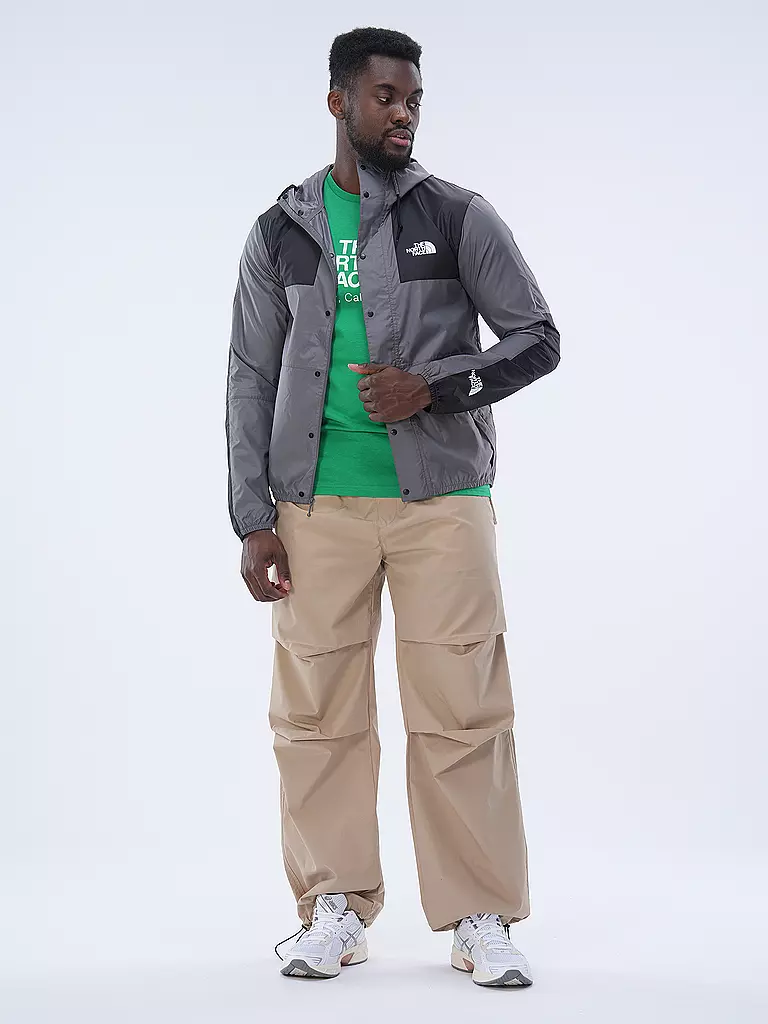 THE NORTH FACE | Windbreaker SEASONAL MOUNTAIN | Gris