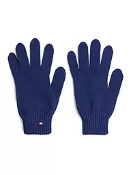 TOMMY HILFIGER | Guantes para niños
Marca: TOMMY HILFIGER
Color: negro
Categorías: Moda, Niños, Niños

Material: Algodón, Punto
Estilo: Casual | Azul