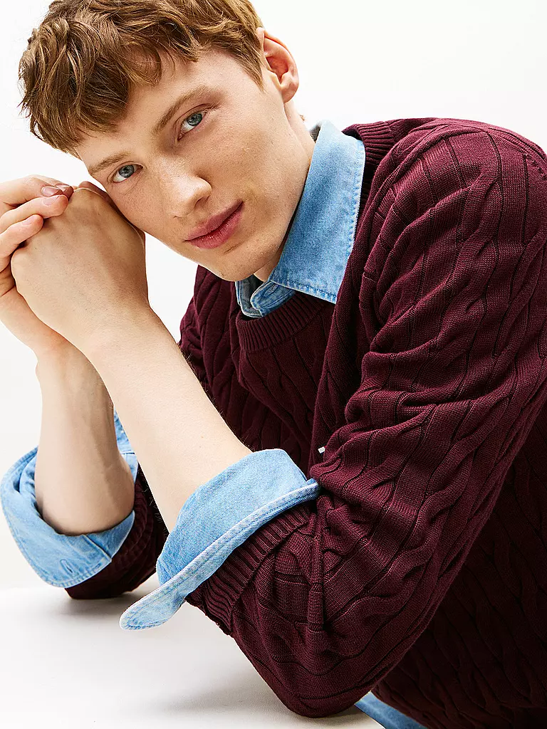 TOMMY HILFIGER | Jersey | Rojo oscuro