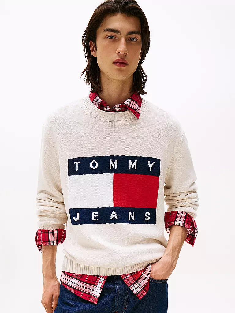 TOMMY JEANS | Pullover | 