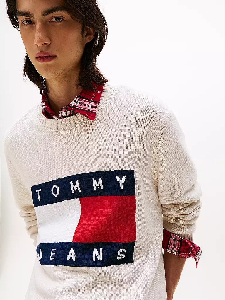 TOMMY JEANS | Pullover | 