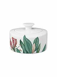 VILLEROY & BOCH SIGNATURE | Azucarero-mermeladero 0,33 l Avarua Blanco | Multicolor