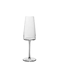VILLEROY & BOCH SIGNATURE | Copa de champán 2 unidades METROCHIC 450 ml | Transparente
