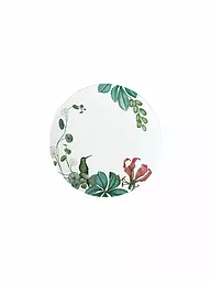 VILLEROY & BOCH SIGNATURE | Plato de postre/desayuno 22x22cm Avarua Blanco | Multicolor