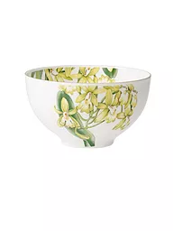 VILLEROY & BOCH SIGNATURE | Schüssel - Bol "Amazonia" 13cm | Multicolor